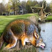 Predator Repellents, Predator Deterrents